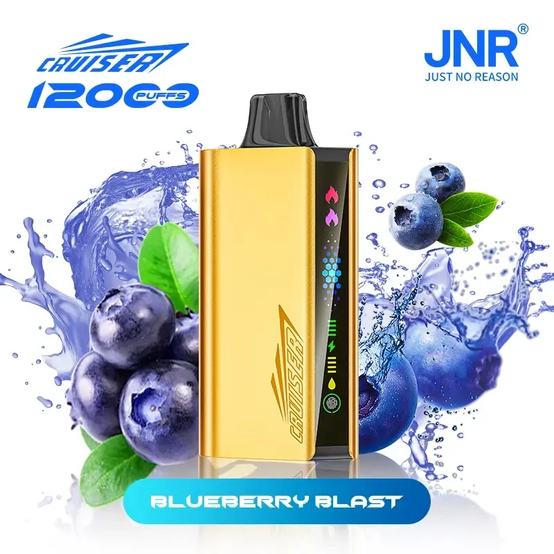 vape king jnr cruiser 12000 puffs blueberry blast
