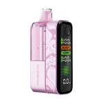 IJOY XP 100K PUFFS strawberry ice